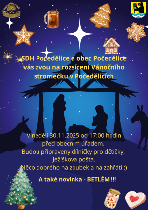 vánoční strom před obecním úřadem