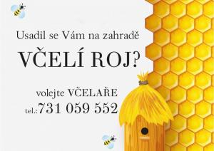 Včelí roj